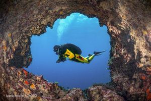 Više od 250 posjetitelja ADRIREEF festivala zaronilo u sklopu projekta Pogled u plavo