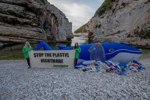 Nasukani kit Saboru šalje apel s viške Stinive