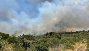 VELIKI POŽAR NA ČIOVU – Gori na dvije lokacije, stigao i kanader