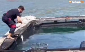 Nesuđeni splitski gradonačelnik krenuo u ribolov na ribogojilište, pa ga ulovio čuvar…