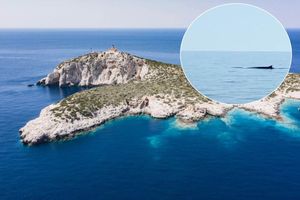 VIDEO Kod Sušca uočen kit