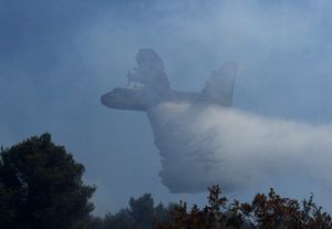 NAKON 20 SATI BORBE S VATROM Konačno ugašen požar na Čiovu