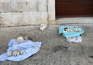 Otočka znanstvenica se pita: “Zašto viška djeca prodaju strogo zaštićene školjke i svi to gledamo?”