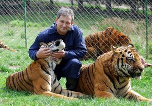 Tigar je s otoka otišao za Križevce? Uzgajivač napisao: “Simba sa Hvara, opširnija priča tek slijedi”