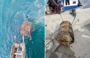 Betonske bačve sa šiljcima u ratu sportskih i profesionalnih ribara: “Ne shvaćaju da i za to imamo rješenje”