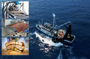 PRIZEFISH, projekt koji unosi inovacije u preradu ribe: “Ribarimo bolje! Ostvarimo više! Očuvajmo Jadransko more!”