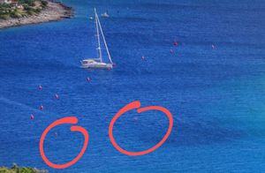 SLUČAJ SIČENICA Koncesionar nas uvjeravao da nema previše bova, a onda stigao odgovor iz županije