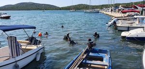 Čistili podmorje u Pirovcu i nakon 15 godina pronašli morskog konjica!