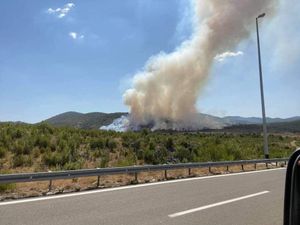 NOVI POŽAR Gori borova šuma uz prugu kod Vrpolja, požar gase kanaderi
