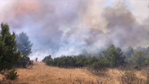 Požar kod Vrpolja se širi, zahvatio je šumu i makiju