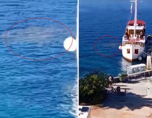 VIDEO Snimili brod na Pelješcu dok ispušta smeđu tvar: “Ovdje se djeca kupaju, ovo je sramota!”