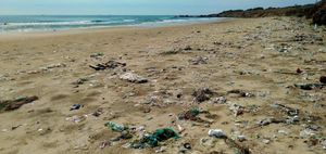 Na Jamajci počeo projekt velikog čišćenja oceanskog plastičnog otpada