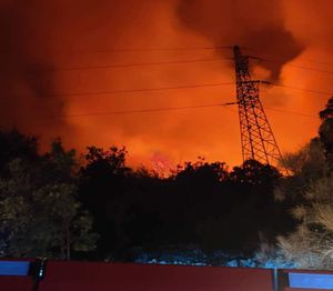 VELIKI POŽAR U BRISTU Izgorjelo 40 hektara šume, na požarište jutros stigli i kanaderi