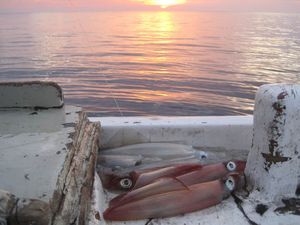 Humanitarni lignjolov za pomoć teško ozlijeđenoj Kaštelanki