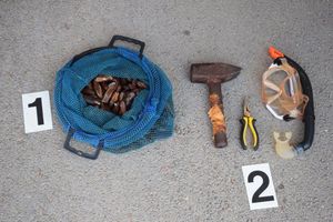 Krivolovcu na Čiovu zaplijenjene školjke i prstaci