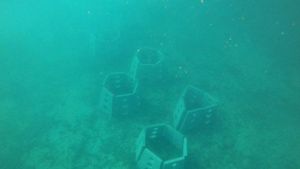 POSEJDONOV VRT Umjetni greben u zaljevu Valsaline