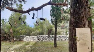 Meditacijska šetnja šumom poezije na sv. Vicencu u Sutivanu