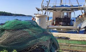 Idući tjedan počinju radionice o natječajima vezanim uz ribarstvo