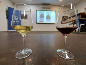 Na Mljetu održano treće edukativno kušanje vina, likera i destilata