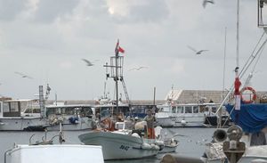 ODRŽIVO RIBARSTVO U KOMIŽI “Djeca Neptuna” čuvaju bioraznolikost viškog arhipelaga