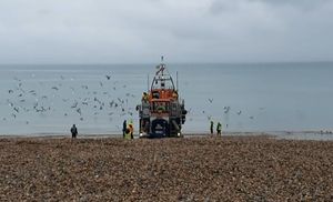 Raste netrpeljivost Britanaca prema migrantima: “Ne dovodite nam više takve”