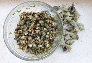 ZEMLJA GURMANIJA Vrpli ili vol(j)ci