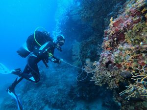 VIDEO Endemska staništa Jadrana koja zbog ljudi izumiru