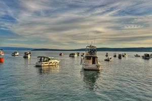 U Kaštelanskom zaljevu u humanitarnom lignjolovu sudjelovalo 60 brodica