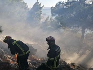 U jučerašnjem požaru izgorjelo 1,5 ha borove šume i makije
