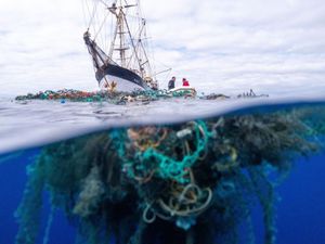 UŽAS Morske životinje naselile veliki plastični otok koji pluta Pacifikom