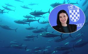 USKOK istražuje slučaj uvezenih tuna u Hrvatsku – Je li pod istragom i ministrica poljoprivrede?