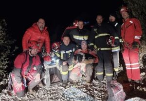 HGSS-ovci spasili dva unesrećena psa na Biokovu i Braču