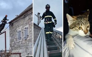 VIDEO Mačka na “vrućem limenom” krovu – Brački vatrogasci nakon psa, spasili još jednu životinju