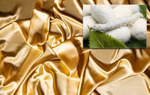 Ministarstvo kulture stavilo pod zaštitu tradiciju uzgajanja svile u Konavlima