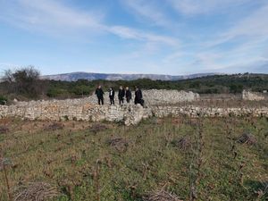 Vučković svratila do polja na Hvaru: “Unaprijedit ćemo uzgoj lavande, a evo i plana navodnjavanja”