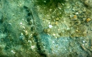 Otkrivene nove podmorske tajne Salone i Spalatuma