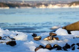 Polarna hladnoća pogodila Balkanski poluotok – Na Šolti jutros izmjereno -10