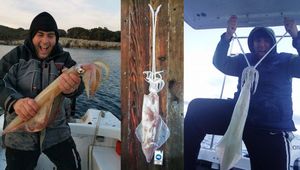 VRUJA FESTIVAL Pogledajte lignju od skoro 4 kg, pobjednicu bespravne lignjade