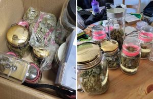 POLICIJA PRIVELA DILERA S KRKA Pronašli mu pola kilograma marihuane i hašiša