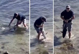 VIDEO Čovjek ulovio tunu golim rukama!