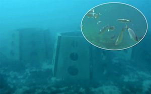 Prva kvarnerska kuća za ribe uspješno se useljava