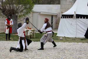 Zadarska županija daje novčanu potporu za turističke manifestacije