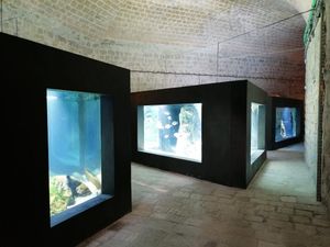 Ponovno se otvara preuređeni Akvarij u Dubrovniku