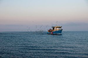 Povrat trošarine na benzin za ribarska plovila – Objavljen popis i kvote