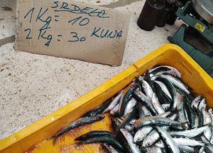 FOTOGRAFIJA DANA Na splitskoj peškariji osvanula neobična ponuda