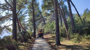 U tijeku je obnova i revitalizacija šetnice rovinjskog parka Punta Muccia