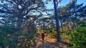 I Supetar se upisao na svjetsku kartu trail utrka