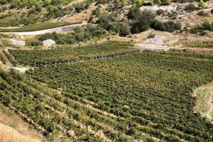 Eko ceritificiranje za poljoprivrednike, ribare i školjkare s Pelješca