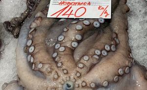 POHLEPA ZA NOVCEM Je li tamanjenje hobotnica postalo unosan biznis?