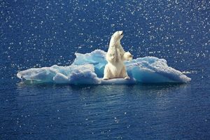 Ključna saznanja UN-a o klimatskim promjenama uvelike pogrešno protumačena